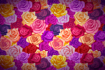 beautiful bright colorful rosebuds, wide detailed background