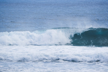 Fototapeta premium good waves for surfing in the ocean.