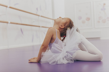 Adorable little ballerina exercising at ballet school. Cute young girl wearing leotard and tutu,...