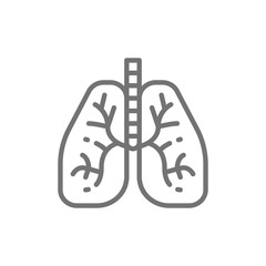 Lungs, human organ line icon.