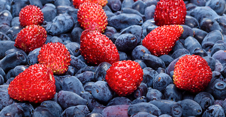 honeysuckle strawberry close-up