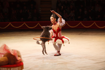 performance of a dog trainer in a circus.