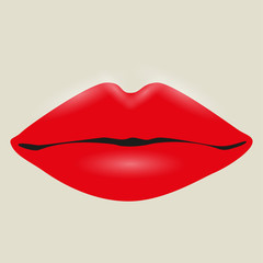 Fototapeta na wymiar Female lips. Vector illustration.