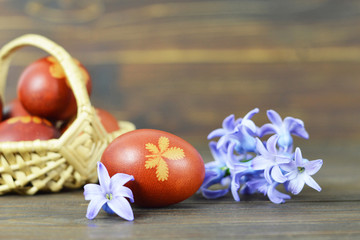 Fototapeta na wymiar Easter egg naturally dyed with onion skins. Easter eggs and hyacinth flower on wooden background