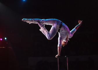 performance of air acrobats in the circus.