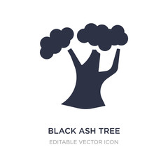 black ash tree icon on white background. Simple element illustration from Nature concept.