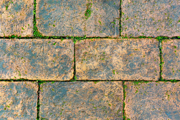 Background of texture wall and floor.Old yellow orange textured bricks.Rectangular old stones with...