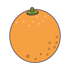 Orange fruit cartoon isolated blue lines