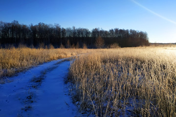 A wonderful landscape of the road in the field near the forest of autumn frosty morning 2019