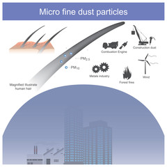 Micro dust particles.