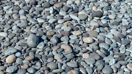 round stones of the sea