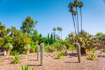 Cactus park at beverly gardens park
