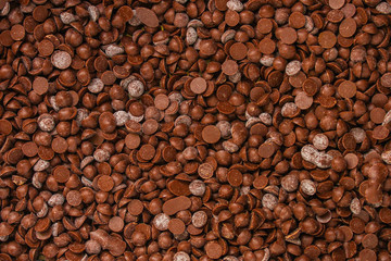 chocolate drops (sweets). food background. copy space. top