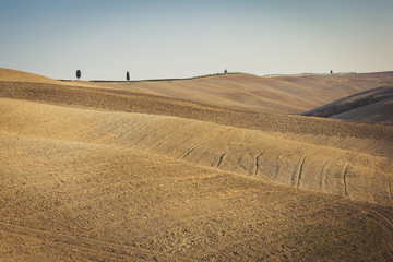 Fototapeta premium Empty rolling hills of Tuscany countryside in Val d'Orcia