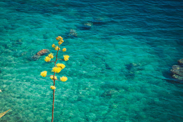 Fototapeta na wymiar Beautiful transparent turquoise water of mediterranean sea