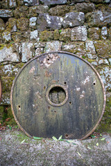 Obraz na płótnie Canvas Wheel against a mossy wall