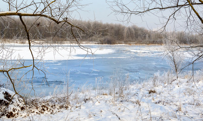 Winter on the lake. Trees and bushes in the snow and frost