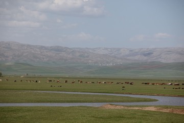 Obraz premium Sunny summer landscape with river.Green hills,fields and meadows