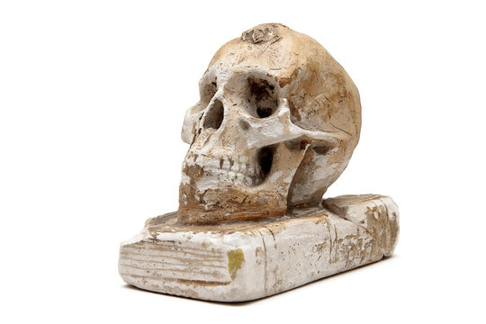 A plaster skull on a three-quarter white background
