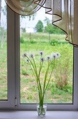 Bouquet of dandelions on the window in a transparent vase.