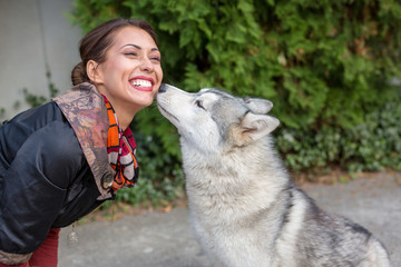 Cute young husky dog sniffing a beautiful woman