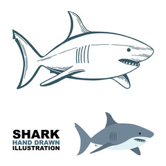 Shark. Shark hand drawn vector illustrations set. Shark sketch drawing.