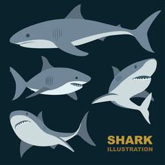 Shark. Shark flat style vector illustrations set.