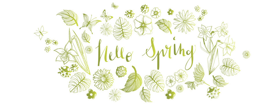 Spring illustrations banner