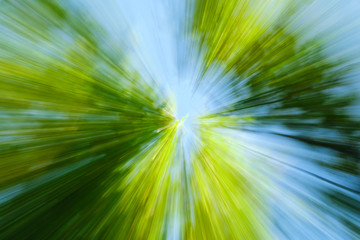 Obraz premium Abstract image of tree in countryside. Created by zooming out while closing shutter. Zoom speed blured motion.