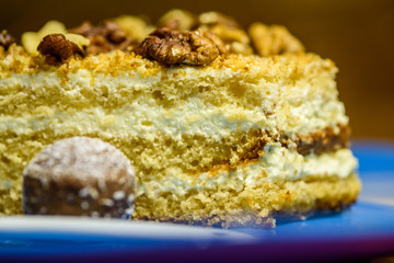 A slice of sponge cake with walnuts close-up.
