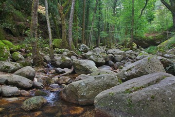 Corsica-river Polischellu