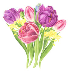 Flowers bouquet with tulips, freesia and hyacinths, watercolor painting. For design cards, pattern and textile.