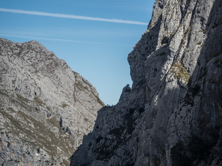 Bulnes
