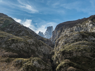 Naranjo de Bulnes