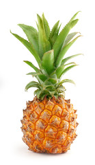 Fototapeta premium Fresh whole pineapple