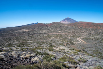 Teneriffa im Februar 2019 Kanaren kanarische Inseln Insel Tenerifa Canarias Islas