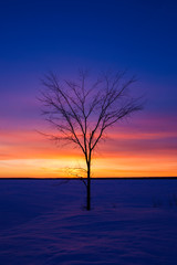 Fototapeta na wymiar Winter sunset in Quebec, Canada