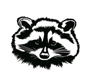 Decorative portrait of raccoon