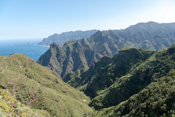 Fototapeta na wymiar Teneriffa im Februar 2019 Kanaren kanarische Inseln Insel Tenerifa Canarias Islas