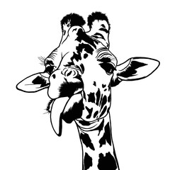 Decorative portrait of giraffe. Illustration in black color on white background