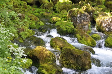 Source of Pliva River in Bosnia