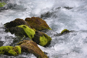 Source of Pliva River in Bosnia