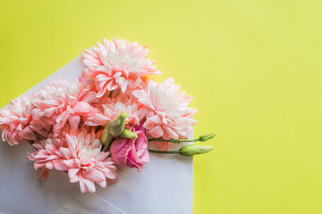 Flowers in envelope on the yellow background. Mail for you. Spring background. Gift for her. Flat lay. white envelope with pink flowers. Bunch of pink chrysanthemums.HAPPY MOTHER'S DAY.Copy space