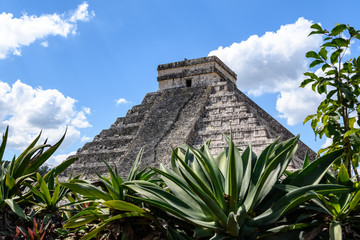 Pyramid "El Castillo", Chichen Itza and a Aloe Vera plant in foreground, Yucatan, Mexico