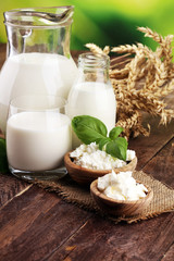 milk products. tasty healthy dairy products on a table. sour cream in a white bowl, cottage cheese bowl, cream in a a bank and milk jar, glass bottle and in a glass
