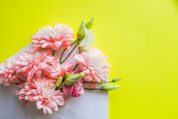 Flowers in envelope on the yellow background. Mail for you. Spring background. Gift for her. Flat lay. white envelope with pink flowers. Bunch of pink chrysanthemums.HAPPY MOTHER'S DAY.Copy space