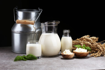 milk products. tasty healthy dairy products on a table. sour cream in a white bowl, cottage cheese bowl, cream in a a bank and milk jar, glass bottle and in a glass