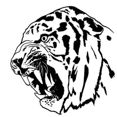 Decorative portrait of tiger. Illustration in black color on white background