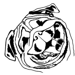 Decorative portrait of pug. Illustration in black color on white background