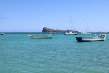 Naklejka premium mer